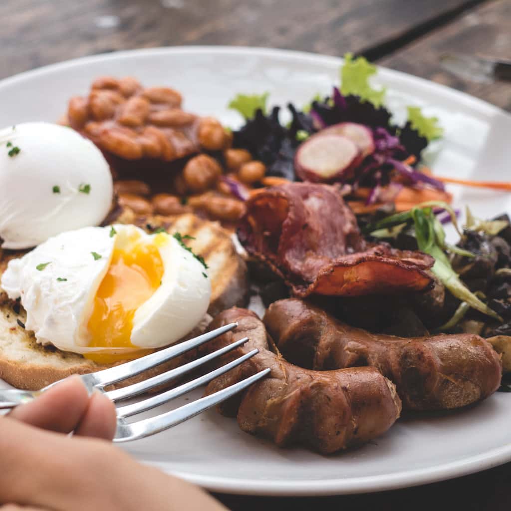 Protein power plate